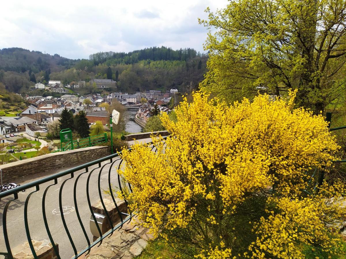 Le Genêt Fleuri * La-Roche-en-Ardenne